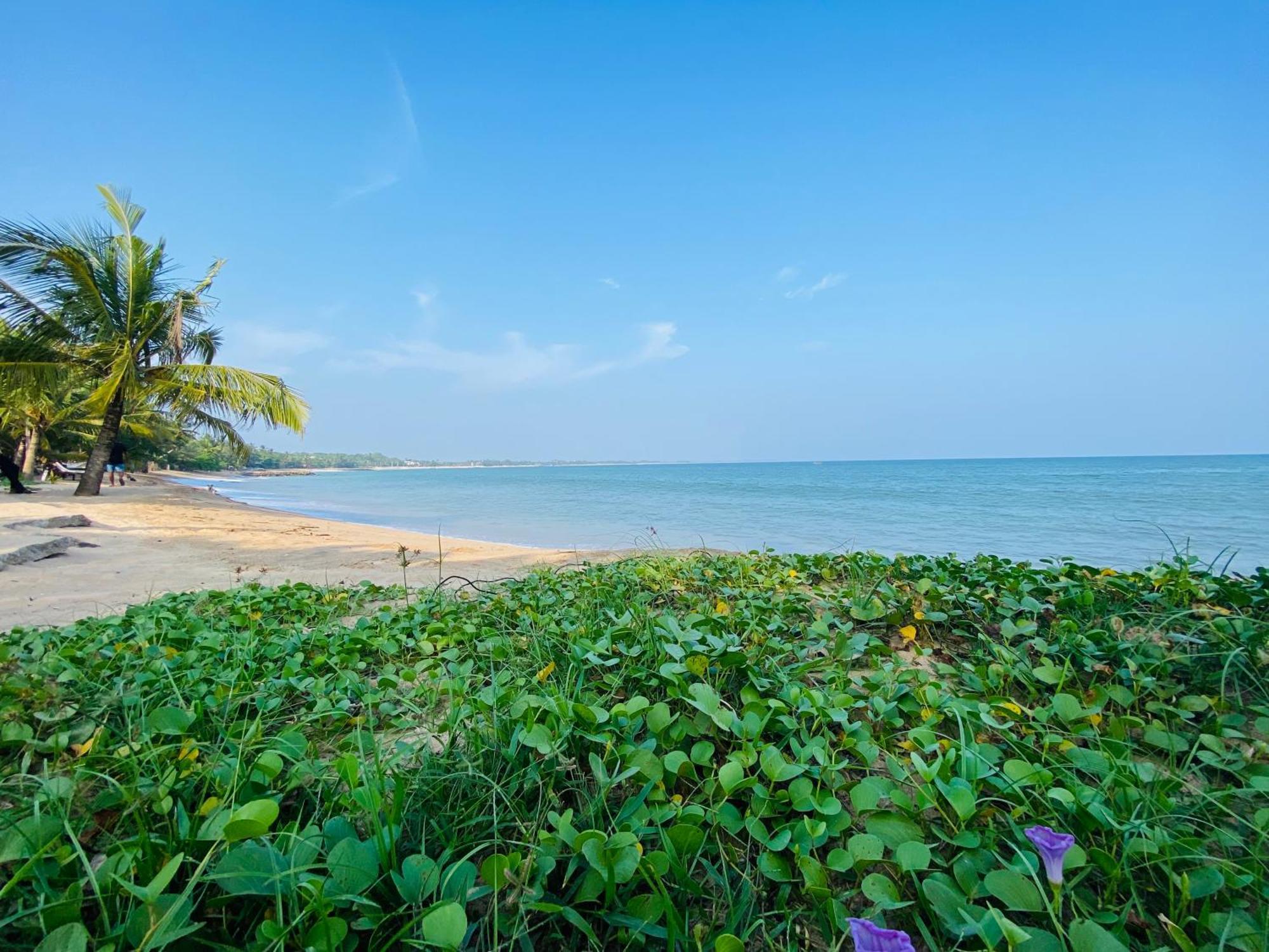 Thaprobana Villa Tangalle - Private Villa Esterno foto